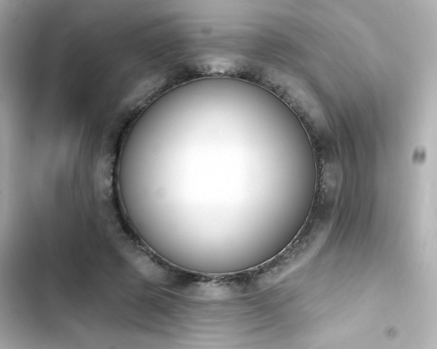 X0000103930545200809191353