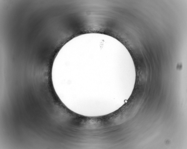 X0000103930546200809191353