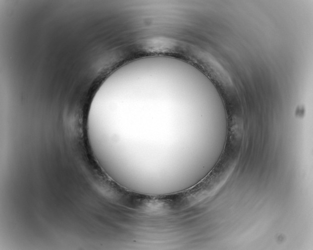 X0000103930547200809191353