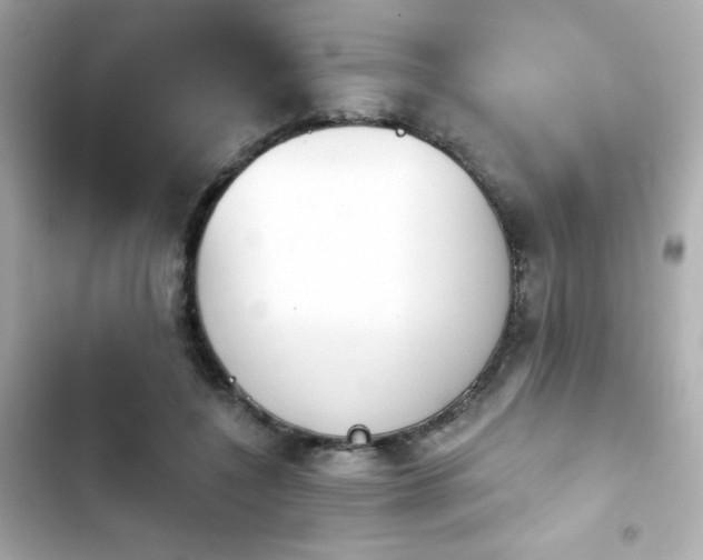 X0000103930548200809191353