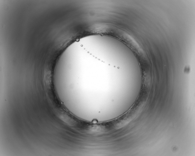 X0000103930549200809191353