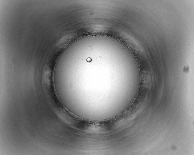 X0000103930550200809191353