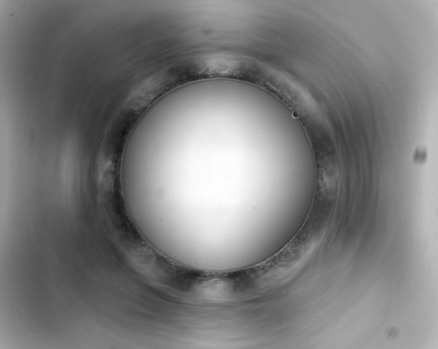 X0000103930551200809191353