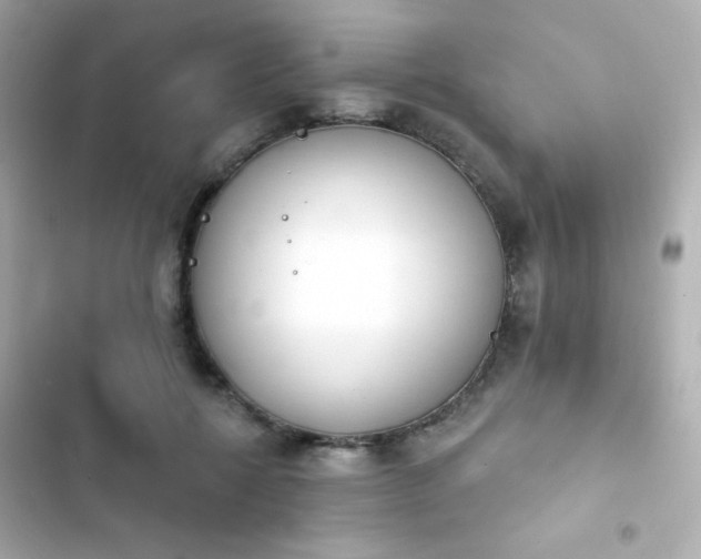 X0000103930552200809191353