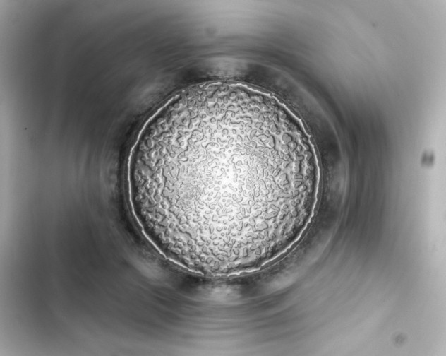 X0000103930553200809191353