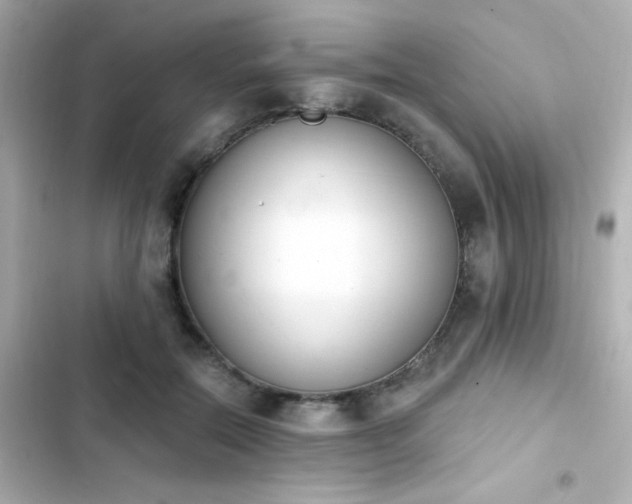 X0000103930554200809191353