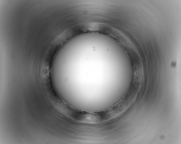 X0000103930555200809191353