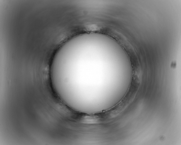 X0000103930556200809191353