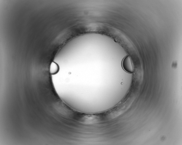 X0000103930557200809191353