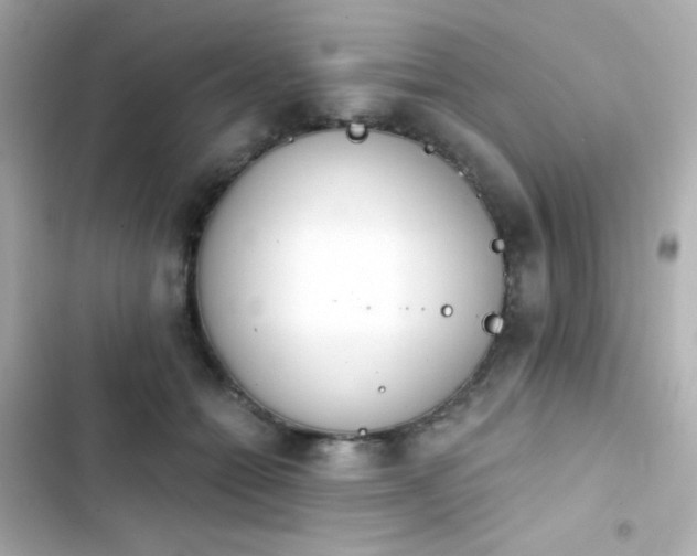 X0000103930558200809191353