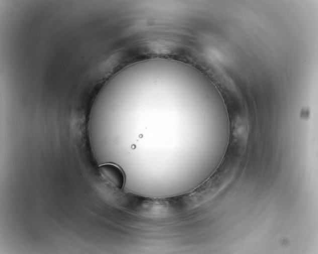 X0000103930559200809191353