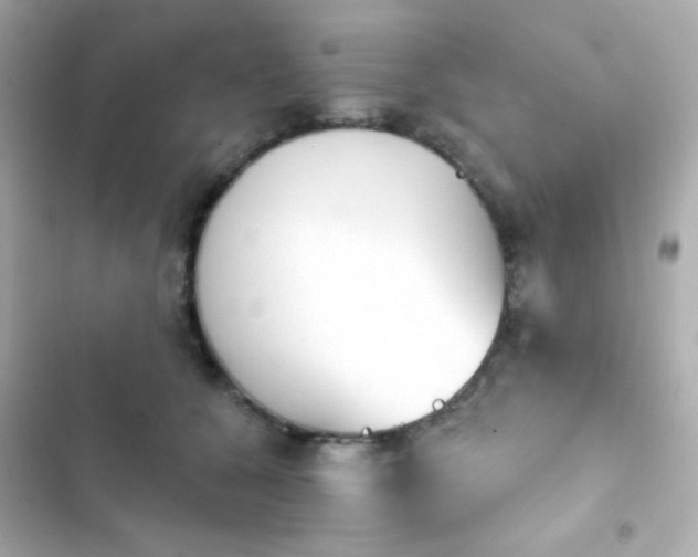 X0000103930560200809191353