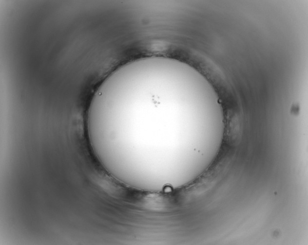 X0000103930562200809191353