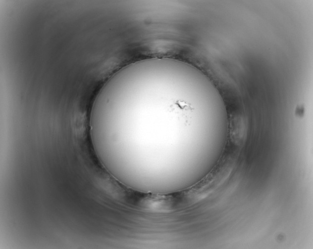 X0000103930563200809191353