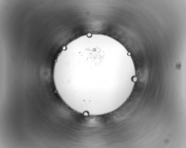 X0000103930564200809191353