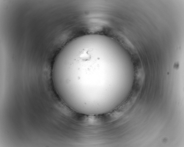 X0000103930565200809191353