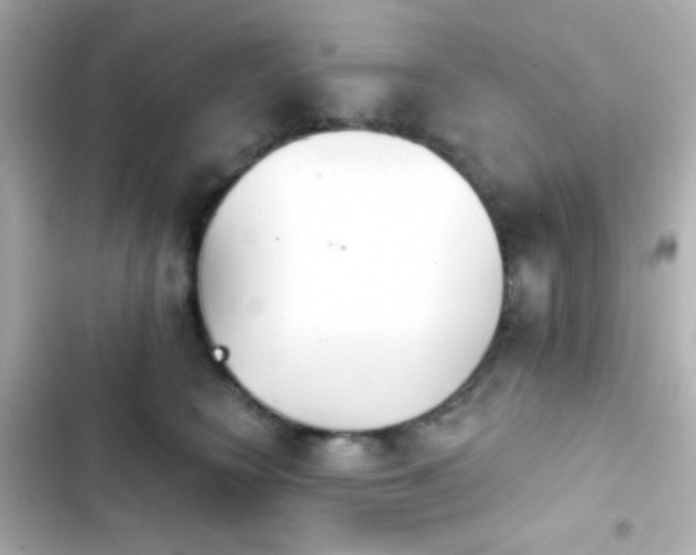 X0000103930566200809191353