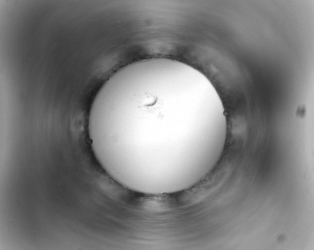 X0000103930567200809191353
