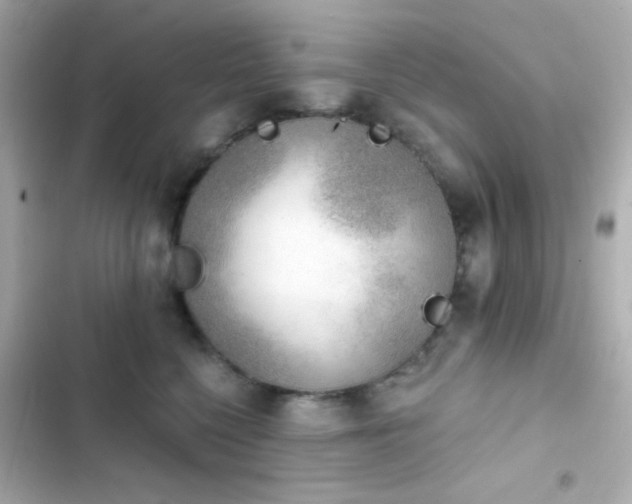 X0000103930568200809191353
