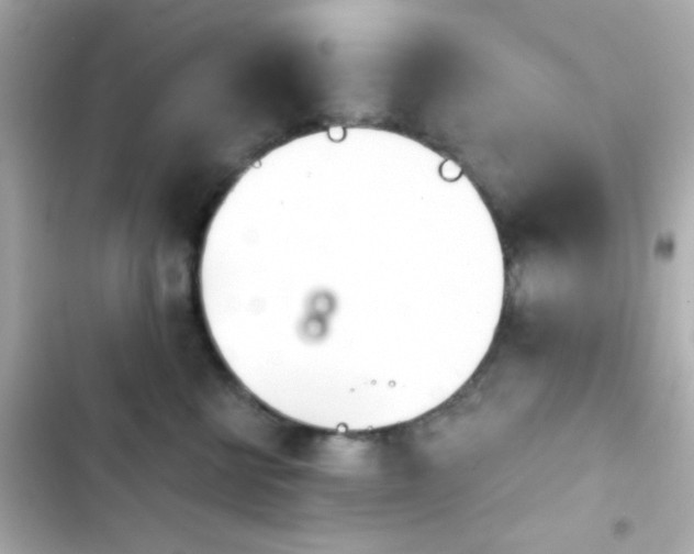 X0000103930570200809191353
