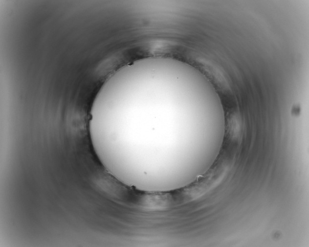 X0000103930571200809191353