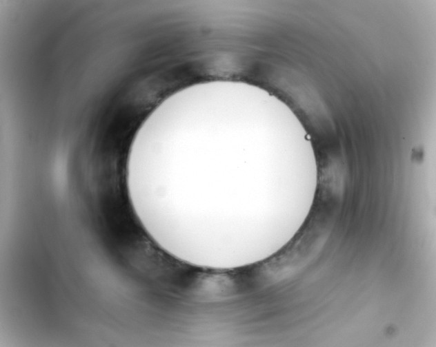 X0000103930572200809191353