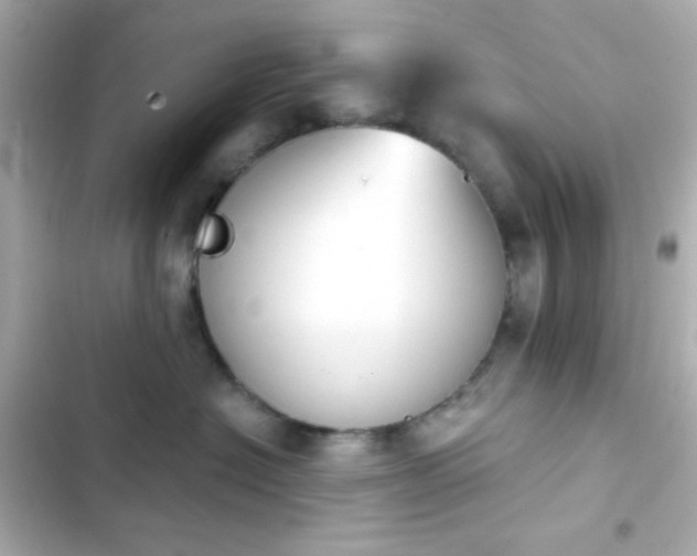 X0000103930574200809191353