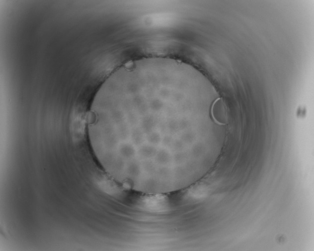 X0000103930576200809191353