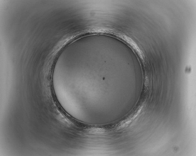 X0000103930577200809191353