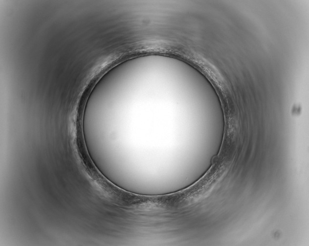 X0000103930578200809191353