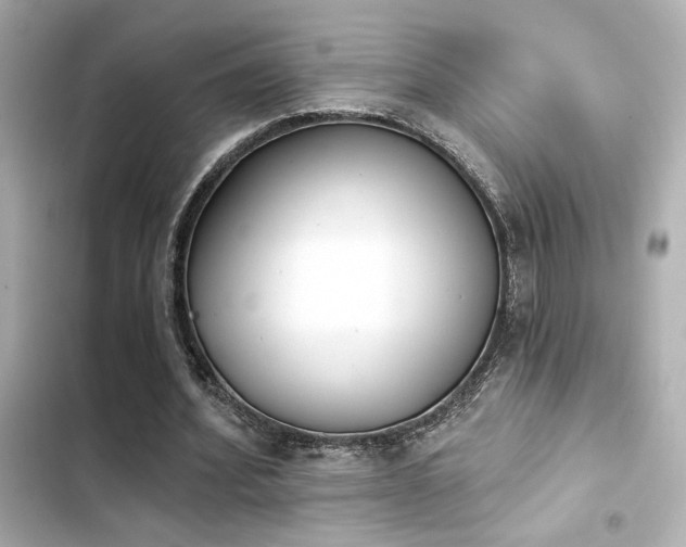 X0000103930580200809191353