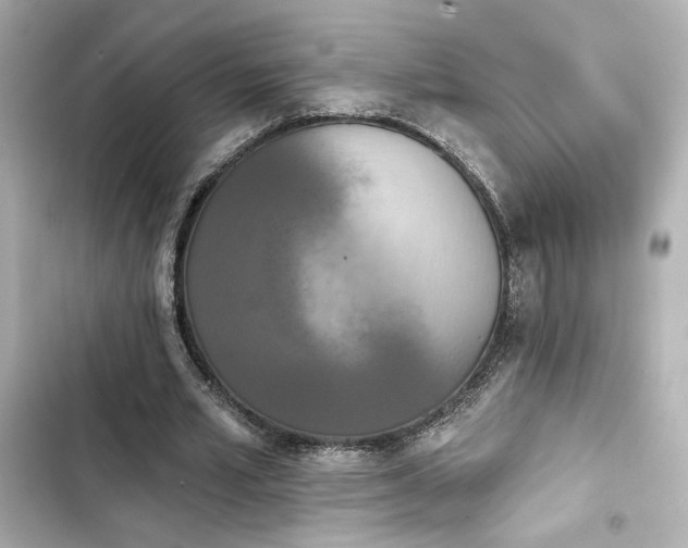 X0000103930581200809191353