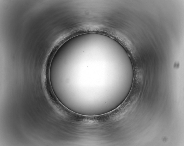 X0000103930582200809191353