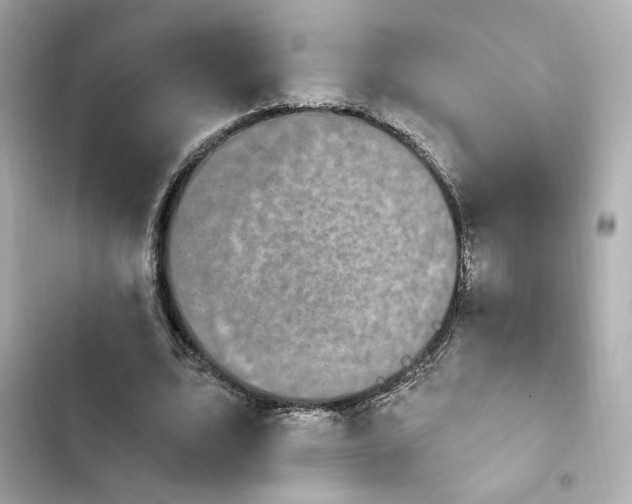 X0000103930583200809191353