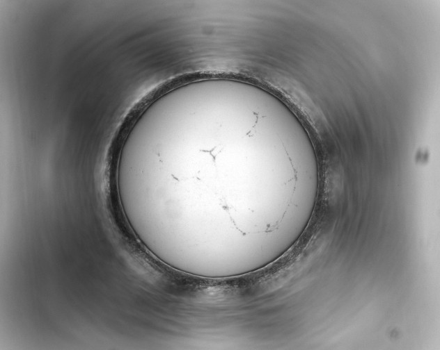 X0000103930584200809191352