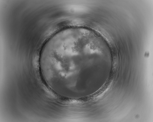 X0000103930585200809191352
