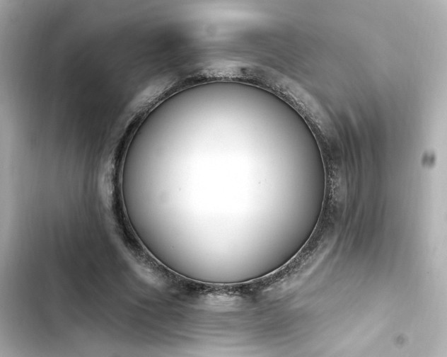 X0000103930586200809191352