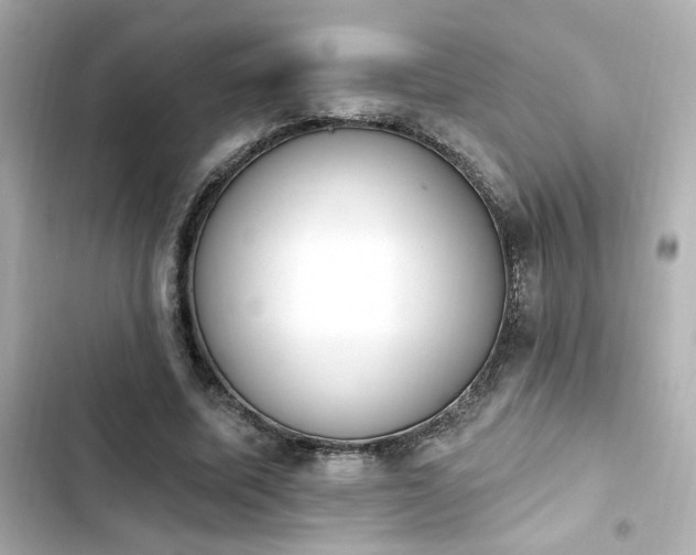 X0000103930587200809191352