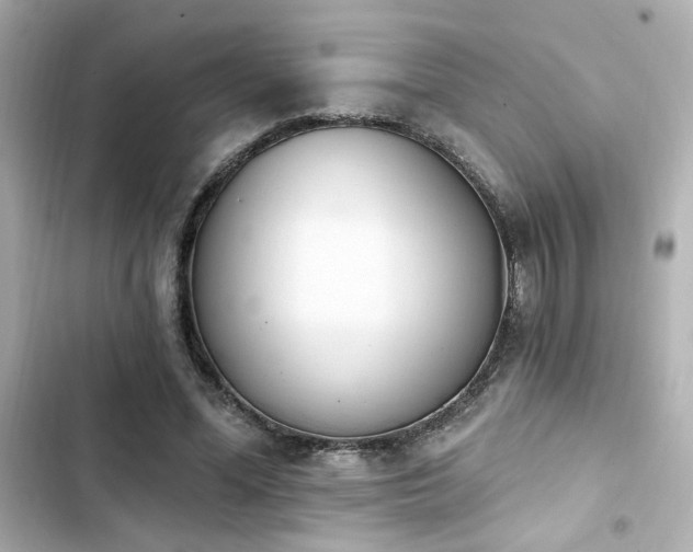 X0000103930588200809191352