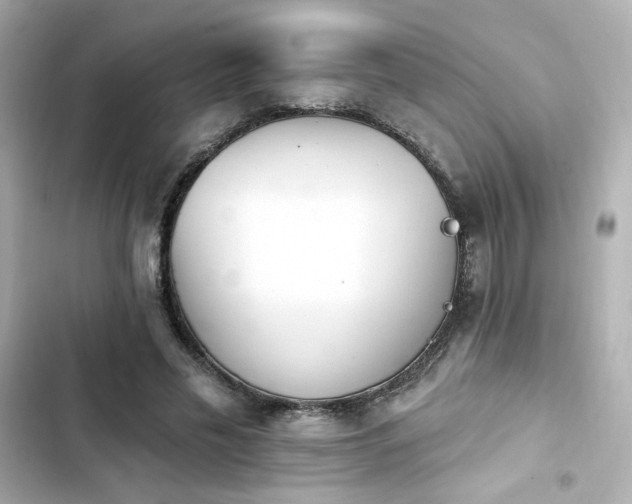 X0000103930589200809191352