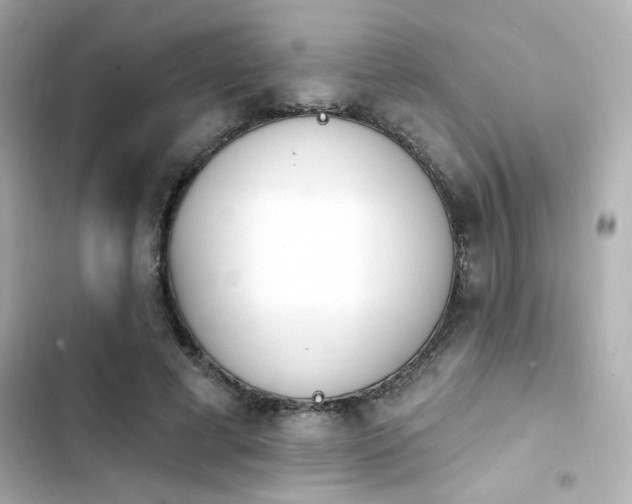 X0000103930593200809191352