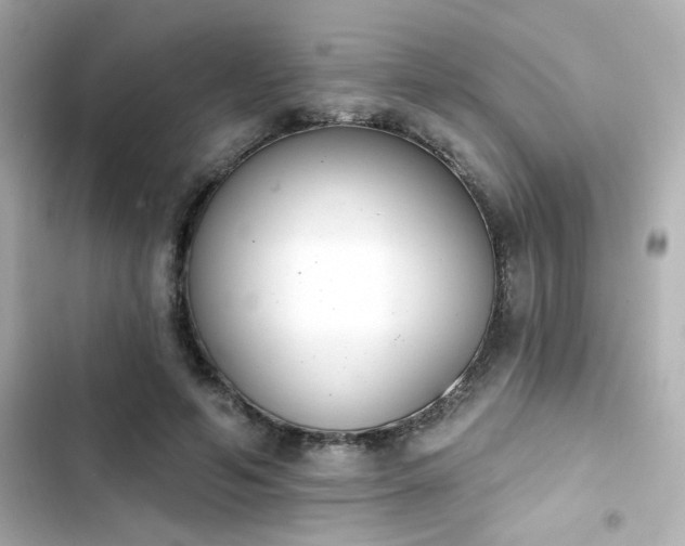 X0000103930594200809191352