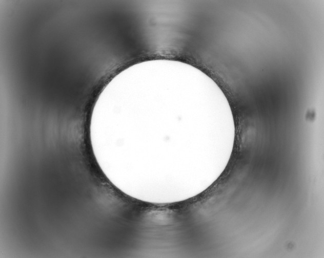 X0000103930595200809191352