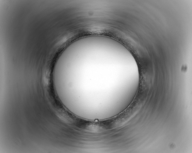 X0000103930596200809191352