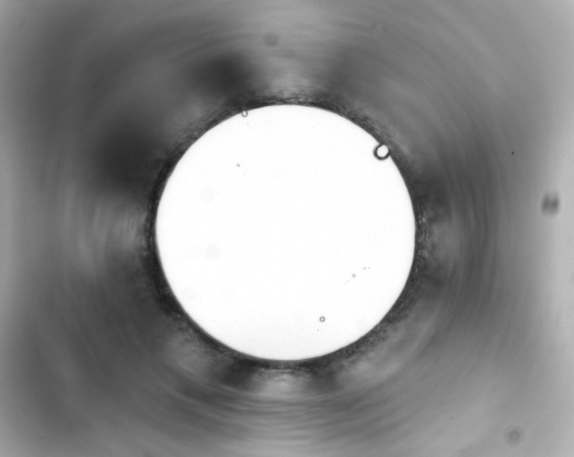 X0000103930597200809191352