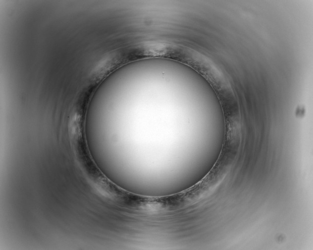 X0000103930598200809191352