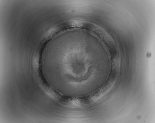 X0000103930600200809191352