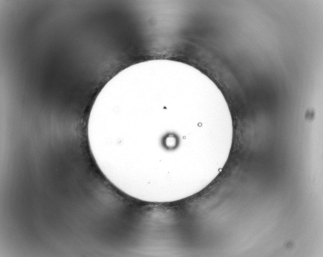 X0000103930601200809191352