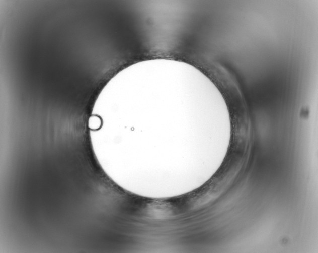 X0000103930603200809191352