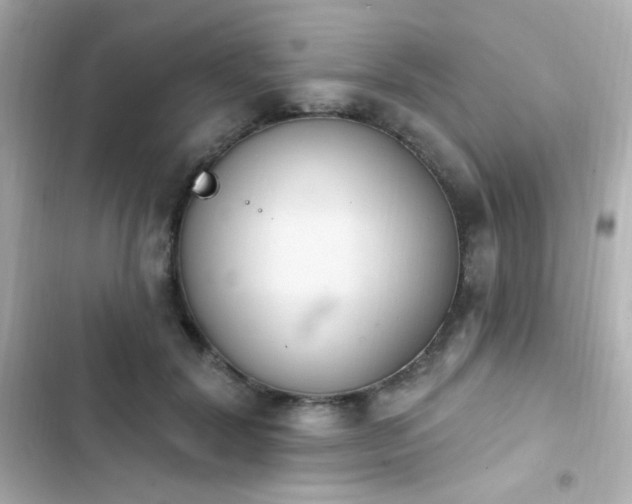 X0000103930604200809191352